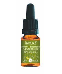Chèvrefeuille - Honeysuckle (n°16) BIO, 10 ml